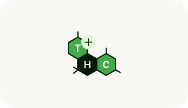 Symbolische Darstellung der THC-Molekülstruktur