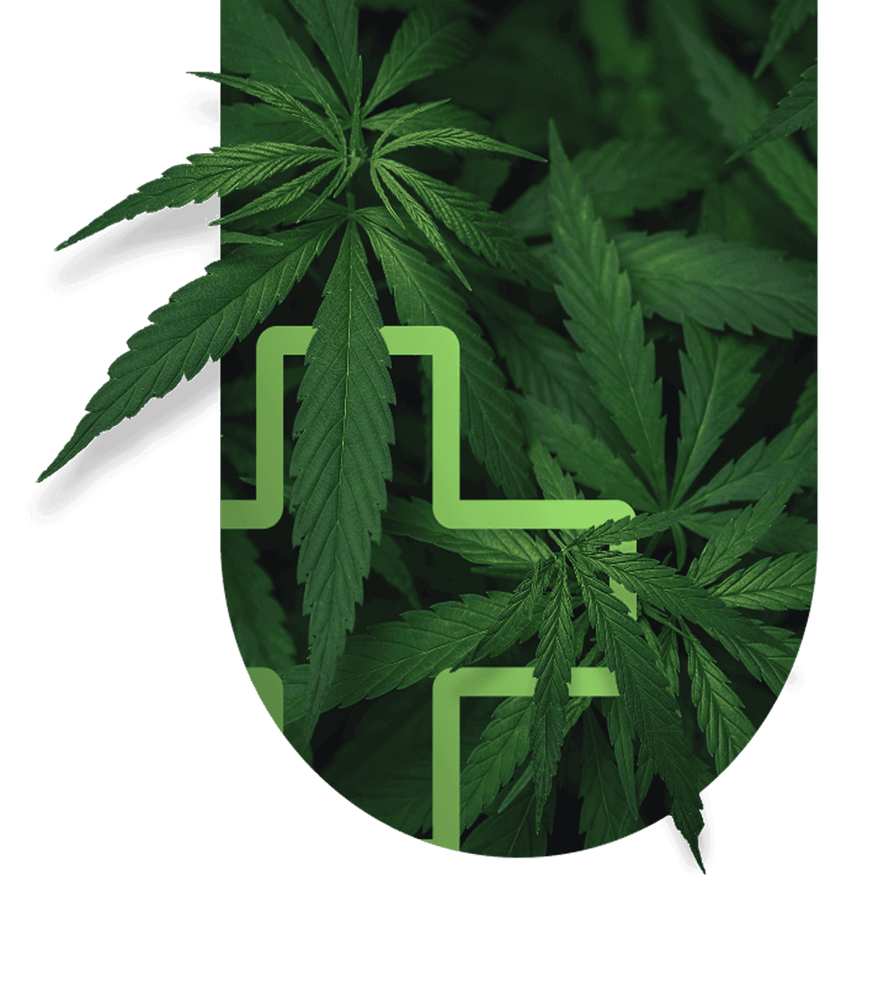 Blütenwerk Header Motiv